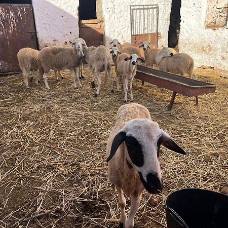 Khaima Oulad Abbou Kültér fotó