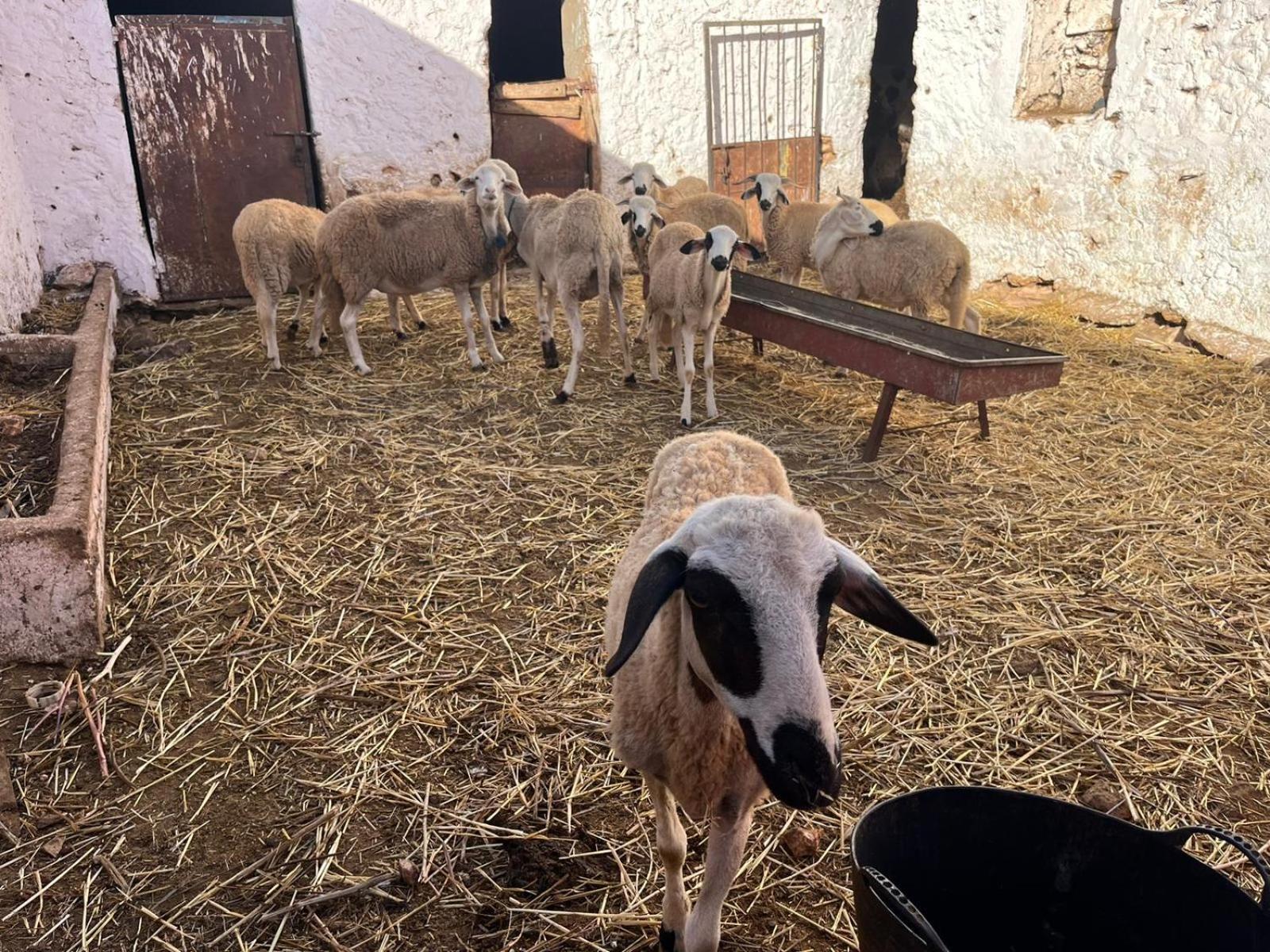 Khaima Oulad Abbou Kültér fotó